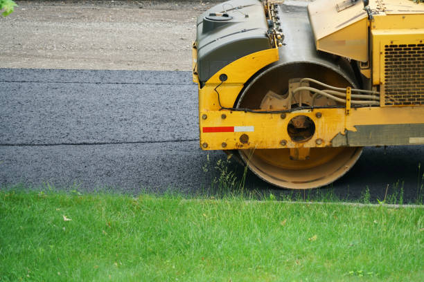 Best Driveway Repair Near Me  in Mercedes, TX